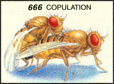 ../HI0/BP-666.jpg
