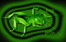 image/_green_bug_pr0n.jpg
