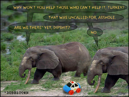 ../LeMur_Collection/LeMur1/bd_beNice13.jpg