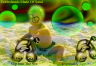 image/_jimi-beach.jpg
