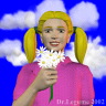 image/_daisies.jpg