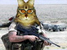 image/_bd_birdpatrol2.jpg